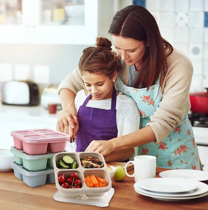 4-Pack Bento Box Lunch Container