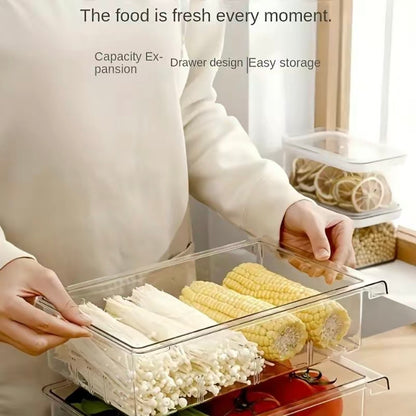 Muti-Use Refrigerator Storage Container