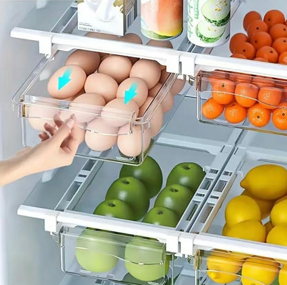 Muti-Use Refrigerator Storage Container